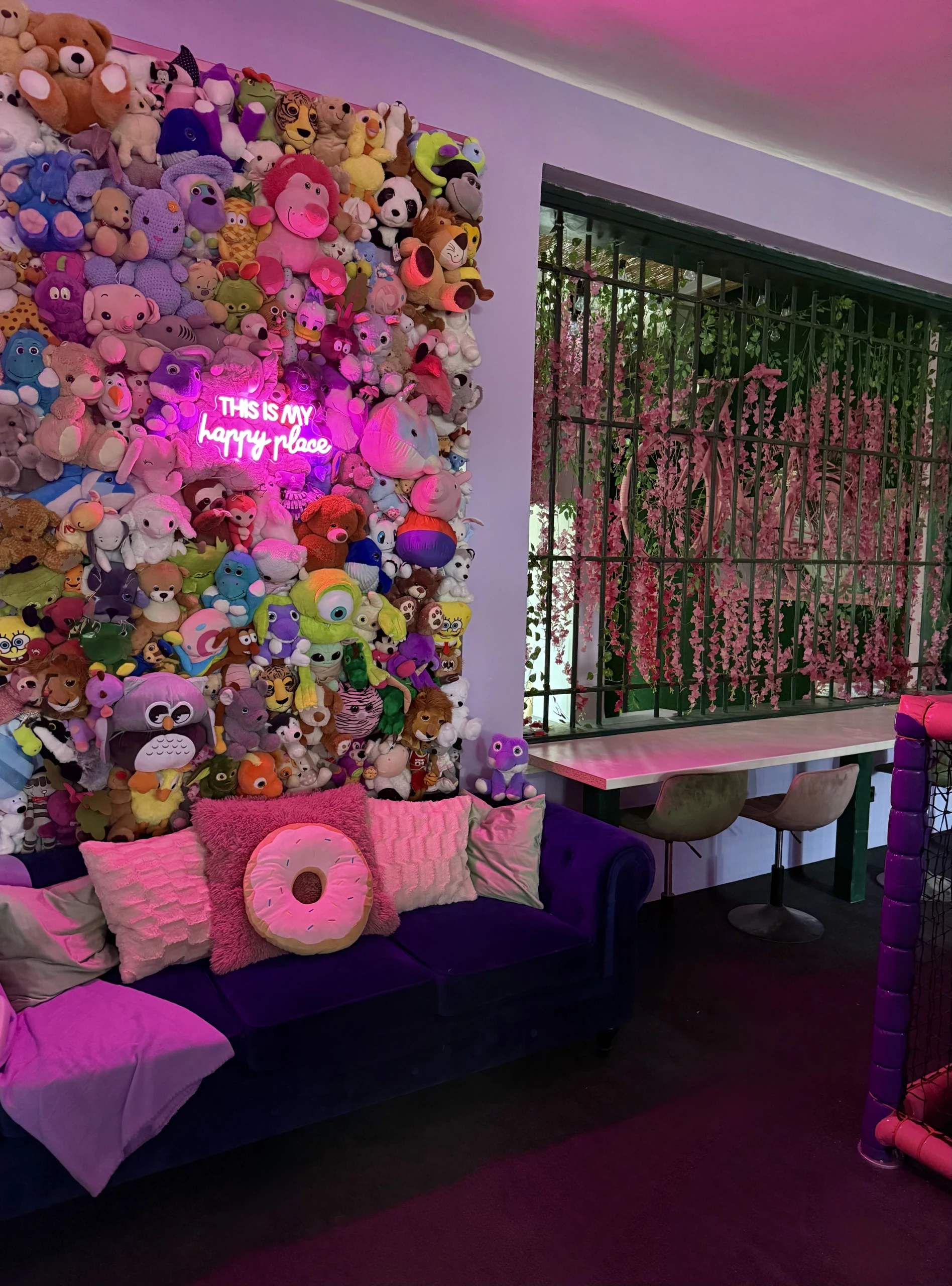 stena plysaci scaled